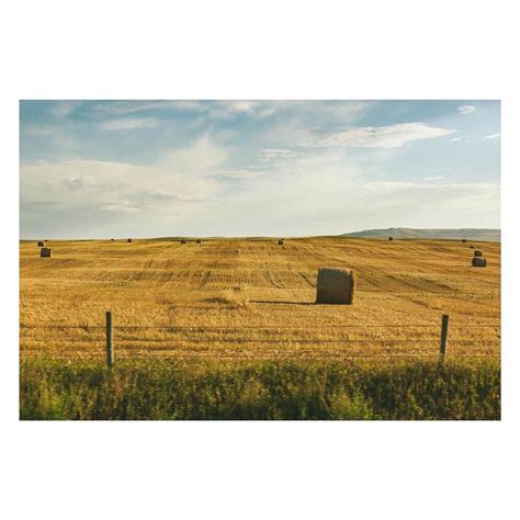 The Prairies Of Alberta Autumn 2016 Adventure Photography The Great