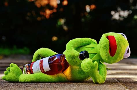 Kermit Frog Hugging Wine Bottle Wine Drink Alcohol Drunk Rest