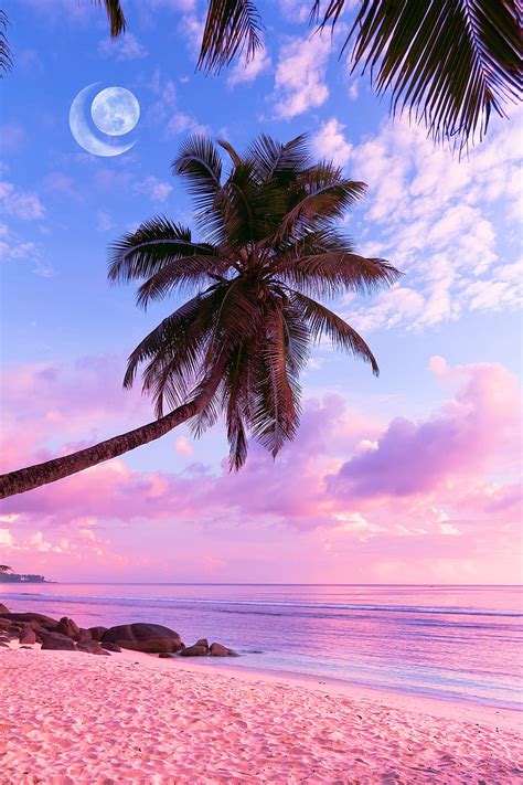 Share More Than Tropical Aesthetic Beach Wallpapers In Coedo Com Vn