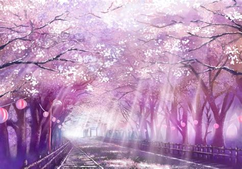 Spring Path Scenery Background Scenery Wallpaper Anime Scenery