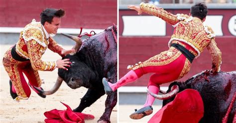 Bullfighter Gravely Ill After Being Gored In Groin For Second Time