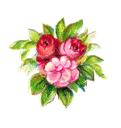 Antique Images Digital Vintage 3 Pink Rose Botanical Scrapbooking