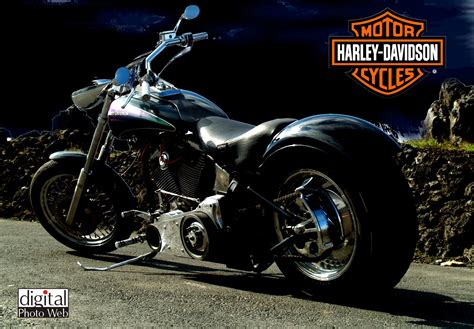 45 Harley Davidson Wallpapers Download Free Wallpapersafari