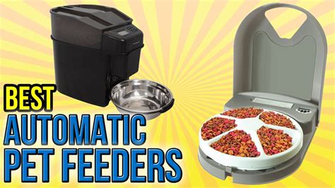 7 Best Automatic Pet Feeders 2016 Youtube