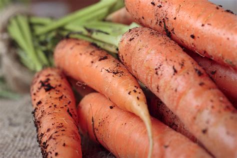 Frisches Obst und Gemüse erkennen so geht s