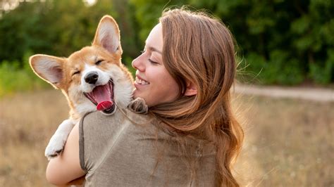 6 Pet Stocks And An Etf For Animal Lovers Bankrate