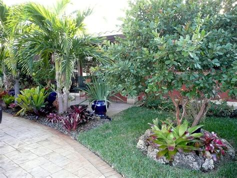 Gardening South Florida Style Bromeliads In The Garden