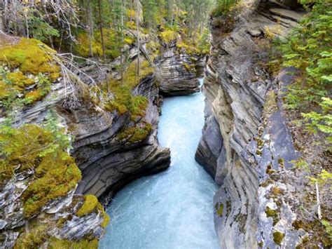 Athabasca Falls Jasper 2019 All You Need To Know Before You Go