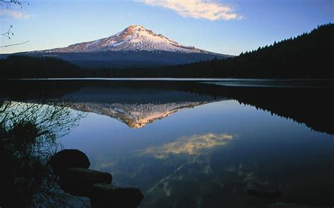 Download Oregon Wallpaper 1080x1920 4K HD Mobile PC Download Wallpaper