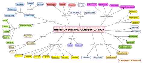 Mindmap Cbse Class 11 Chapter 4 Animal Kingdom • Acadhelp