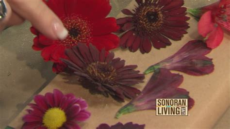 The most basic way to press flowers is by using books. Terri O shares ways to preserve your flowers - YouTube