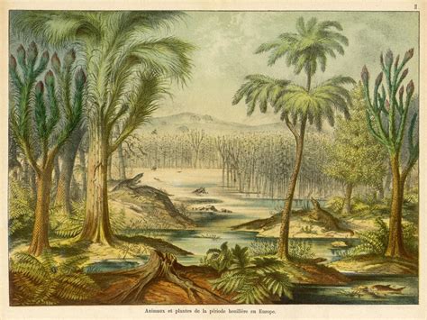 Carboniferous Earth The Age Of Bugs Earthly Universe