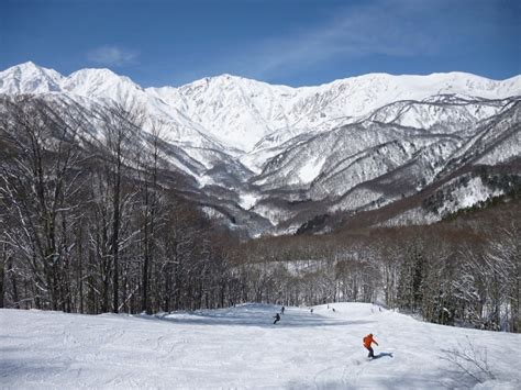 Winter In Japan 10 Best Things To Do In Nagano And Niigata