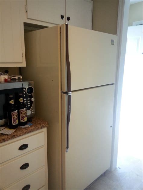 New Refrigerator Y Ceffyl Du