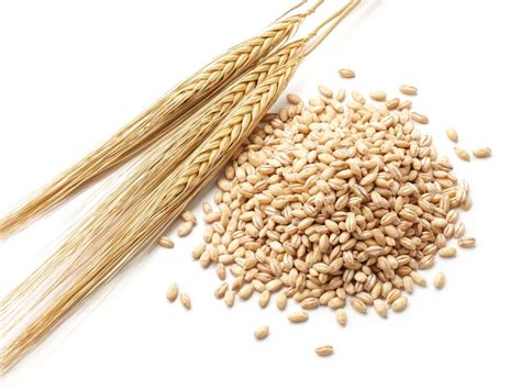 The Health Benefits Of Whole Grains The Prepper Dome