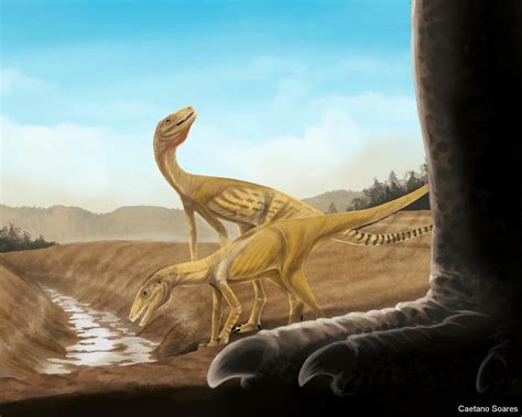 Actualizar 96 Imagem Surgimento Dos Dinossauros Br Thptnganamst Edu Vn