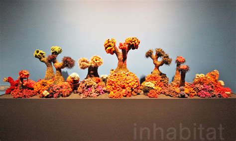 Mesmerizing Exhibition Of Intricately Crocheted Coral Reefs Comes To