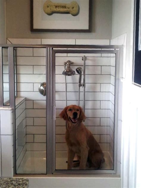 Toll Brothers Inc Debuts New Dog Shower For Houstons
