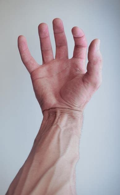 Premium Photo Hand Of An Adult Strong Man Many Veins On The Arm Close