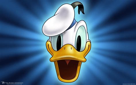 Art Duck Animals X Ducks 720p Donald Duck Hd Donald Hd Wallpaper
