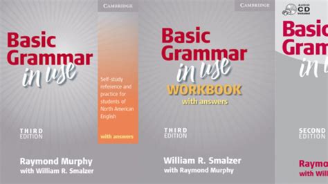Basic English Grammar 3rd Edition Cdp Speedsitemental