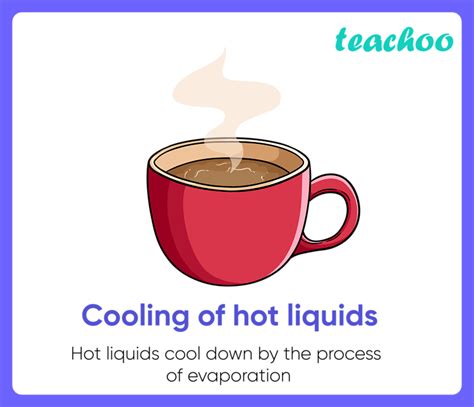11 Examples Of Evaporation In Our Daily Life Explained Teachoo