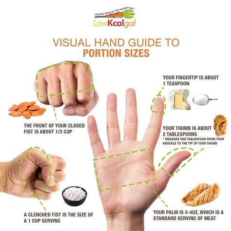 Lowkcalgal On Instagram “visual Hand Guide To Portion Sizes It Is