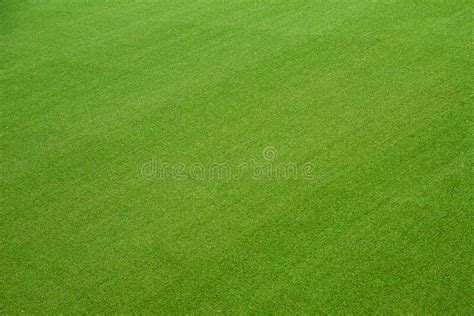 Beautiful Green Lawn Stock Photo Image Of Landscape 218764532