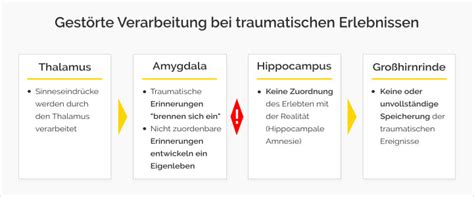 Maybe you would like to learn more about one of these? Trauma - Was im Gehirn dabei passiert
