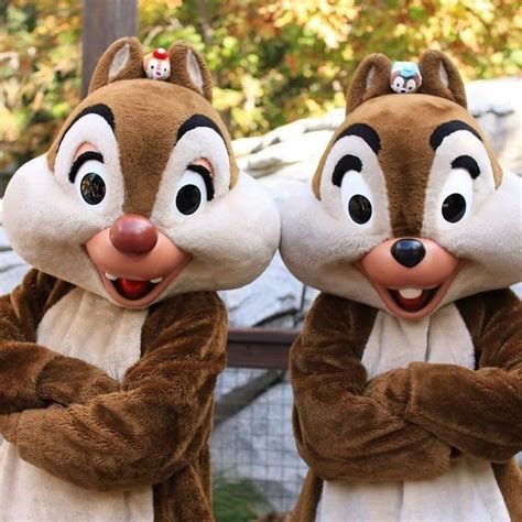 Chip N Dale Disney Park Characters Disney Characters Costumes