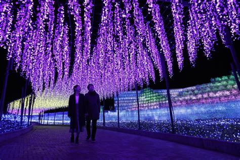 Most Beautiful Japan Christmas Tree