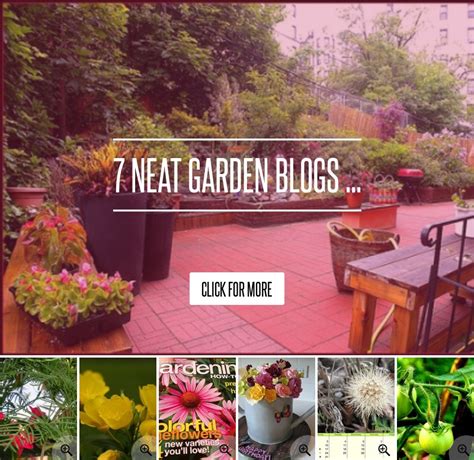 7 Neat Garden Blogs → Gardening