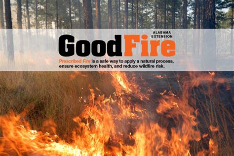 Alabama Extension Fire Events Alabama Cooperative Extension System