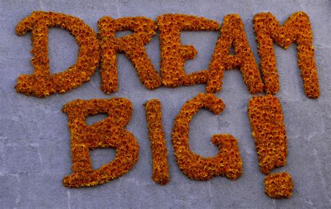 Dream Big Sign Of Flowers Free Stock Photo Public Domain Pictures