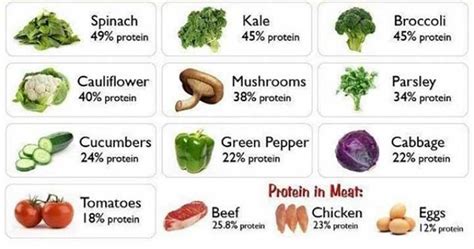 Even chocolate is said to be really high in the caloric content as it has got a total of 535 calories.cheese is a big no no for those who are trying to shed some weight because it contains 353 calories in total and is one of the top foods which highest calories. Get The Most Nutrients Out of These 14 Low-Calorie Foods