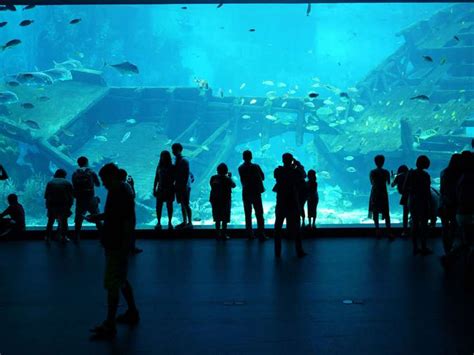 Resorts World Sea Aquarium Wedding Venues In Singapore Hitchbird