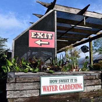 Garden Center Products | How Sweet It Is Garden Center, Eden, MD