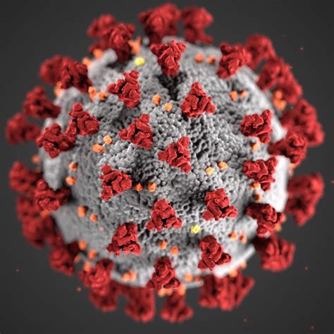 Sars Cov 2 Sequencing Mcgill Genome Centre