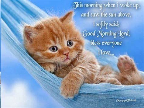 Good Morning Kitty With Message Goedemorgen Katten Hart Van Goud