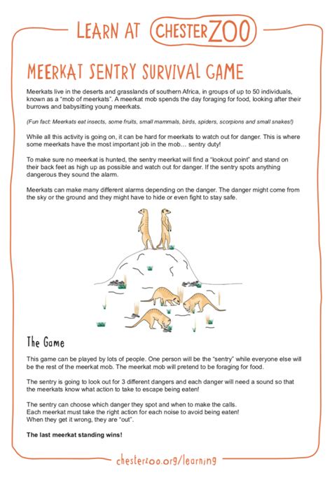 Meerkat Sentry Survival Game Schools