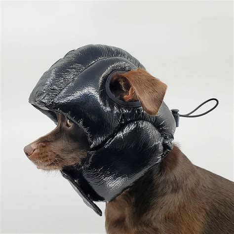 Rajeev Basu Makes Luxury Padded Helmets For Dogs To Sleep In Dog