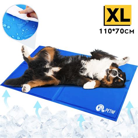 We stock leading brands such as ek water blocks, swiftech, raijintek and xspc. Dog Cooling Mat for Pets, Extra Large Pet Cool Mats for ...