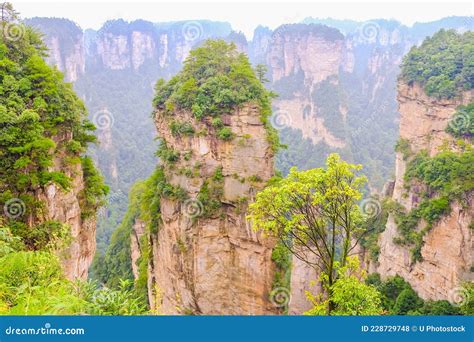 Avatar Mountain Zhangjiajie S National Forest Park Stock Photo Image