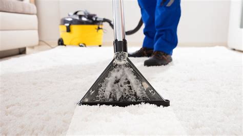 Best Carpet Cleaner Black Friday Bargains That Tackle Stains Grime And Pet Hair Expert
