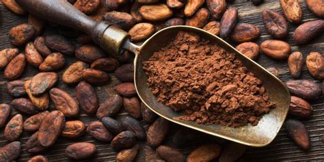 Cacao Proprietà Benefici Per La Salute E Controindicazioni