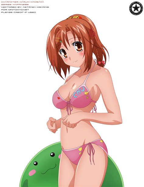 Vector Haruhi Kamisaka In Bikini By Akiranyo On Deviantart
