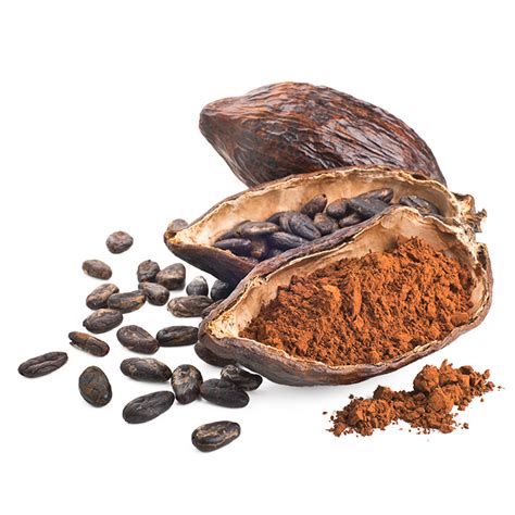 Cocoa Beans Png Transparent Images Png All