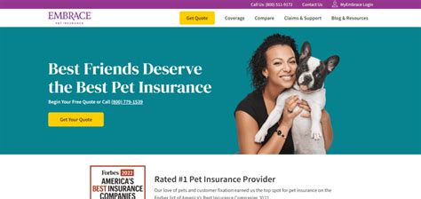 5 Best Pet Insurance Companies For Dogs And Cats In 2023 Pet Guides