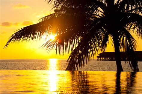 Bora Bora Tahiti Sunset Wallpaper Beach Wallpaper Better