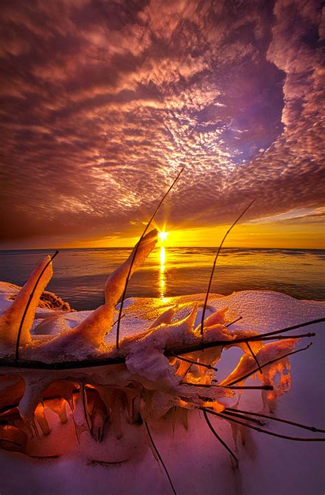Became Entwined By Phil Koch On 500px ~snowcrystals~ Beautiful